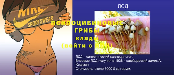 метамфетамин Покачи