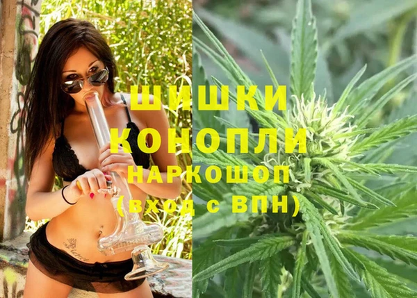 прущие крисы Пестово