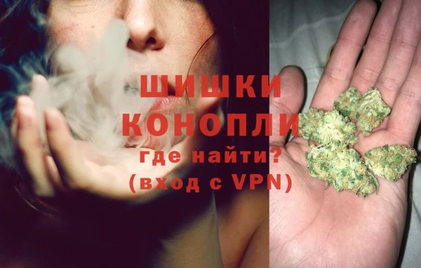 прущие крисы Пестово