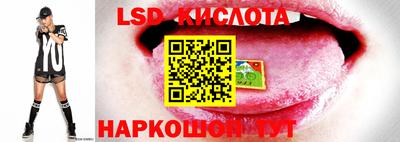 прущая мука Волгодонск