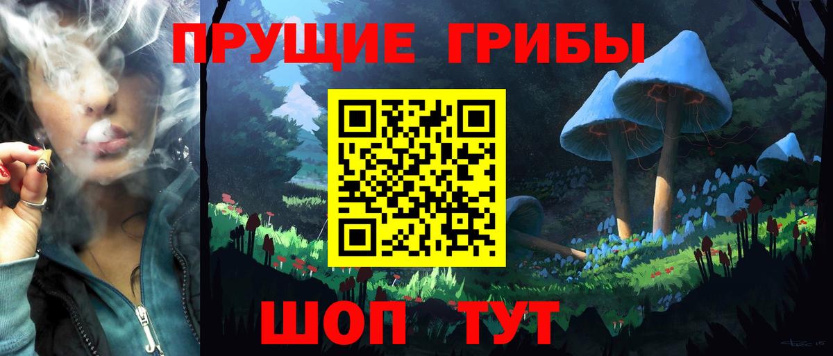 Галлюциногенные грибы Cubensis  Вход с VPN  Лыткарино 